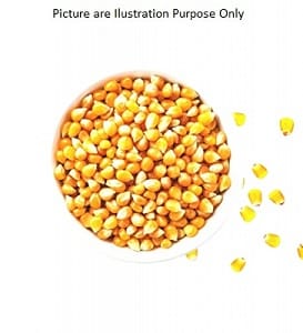 Popcorn Makka 200Gm